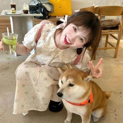 疯夏之箱